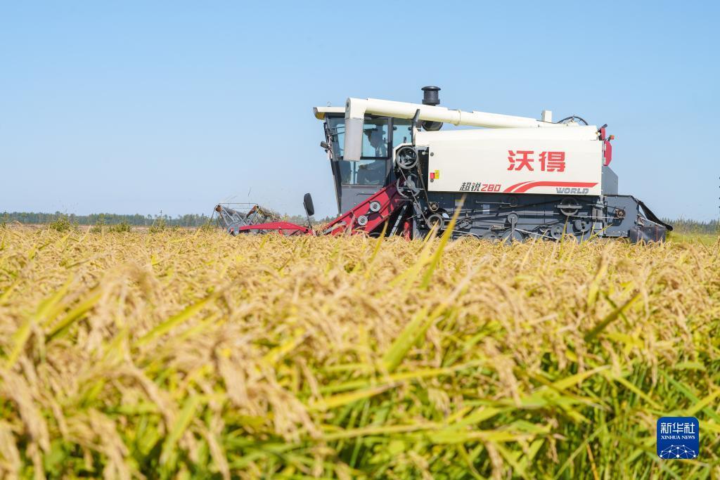 辉皇娱乐